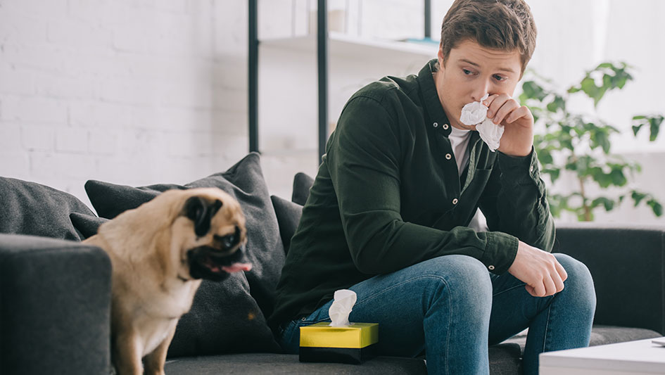 Getting an air purifier is one of the top approaches to improve your home’s indoor air quality. Discover more about the three smartest solutions. 